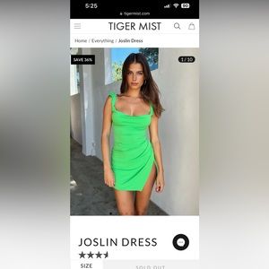 TIGER MIST JOSLIN DRESS- Never Worn
